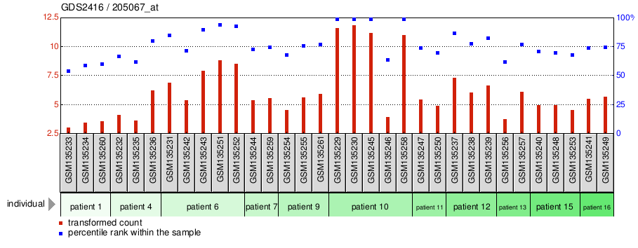 Gene Expression Profile