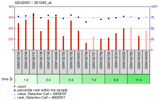 Gene Expression Profile