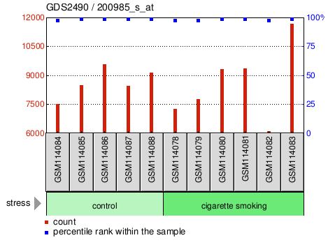 Gene Expression Profile