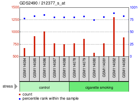 Gene Expression Profile