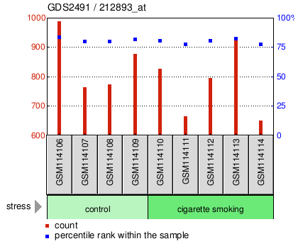 Gene Expression Profile