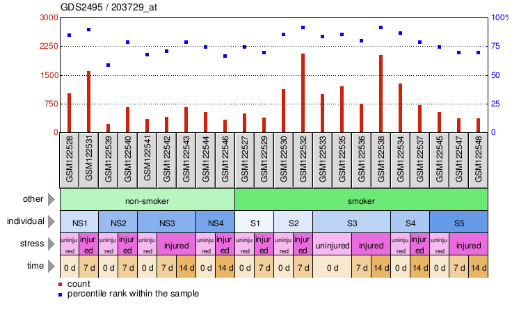 Gene Expression Profile