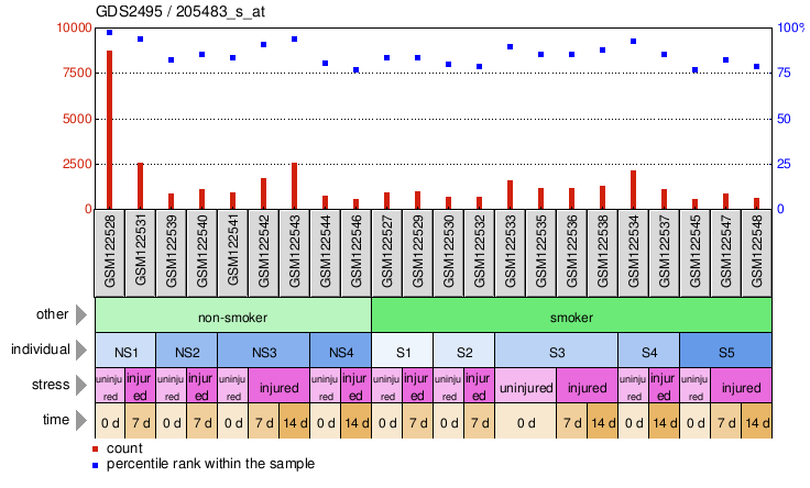 Gene Expression Profile