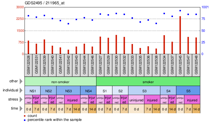 Gene Expression Profile