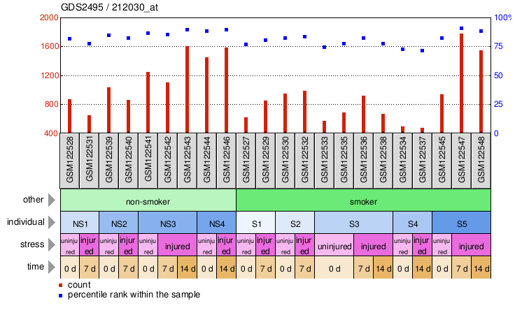 Gene Expression Profile