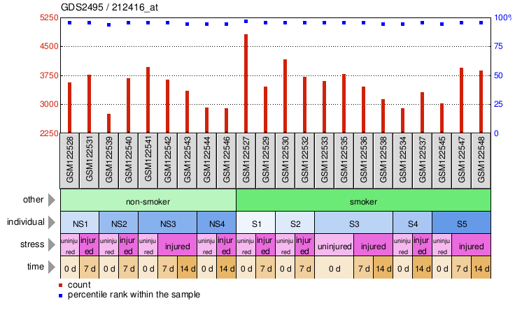 Gene Expression Profile