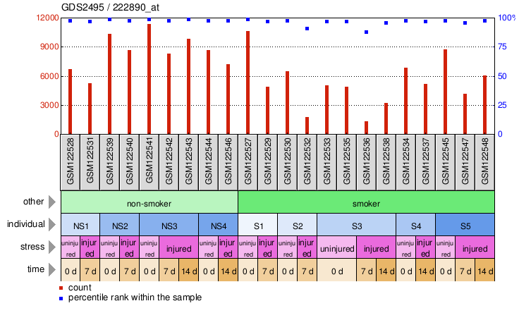 Gene Expression Profile