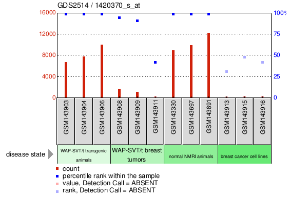 Gene Expression Profile