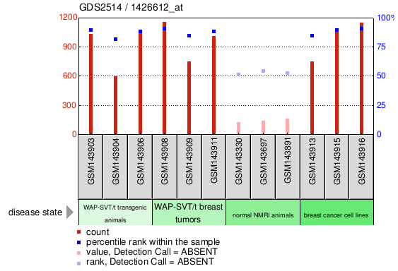 Gene Expression Profile