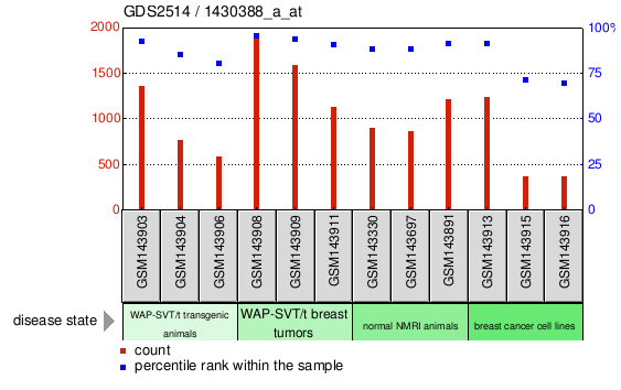 Gene Expression Profile