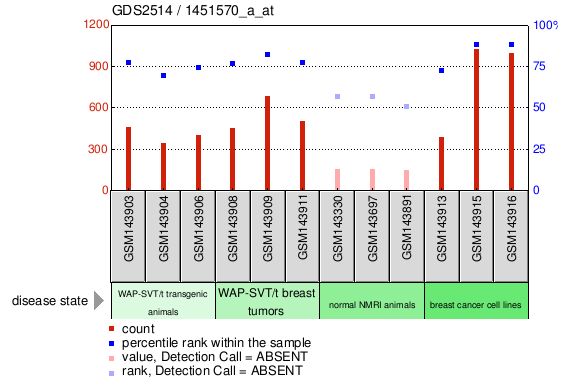 Gene Expression Profile