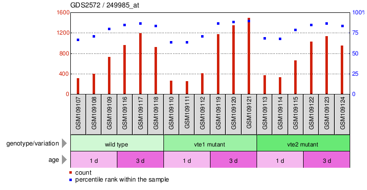 Gene Expression Profile