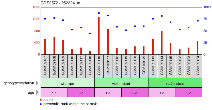 Gene Expression Profile