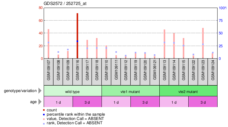 Gene Expression Profile