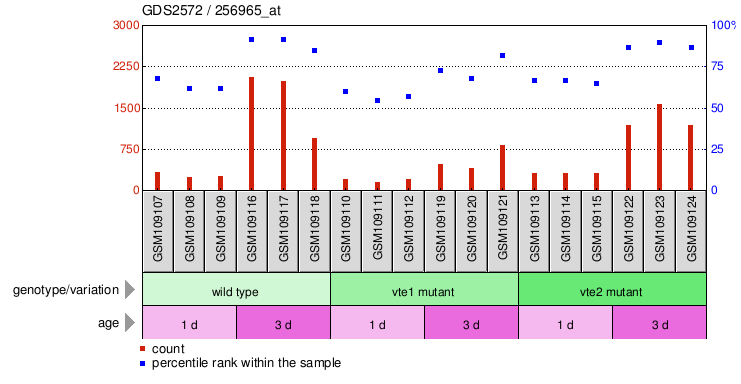 Gene Expression Profile