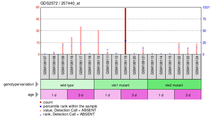 Gene Expression Profile