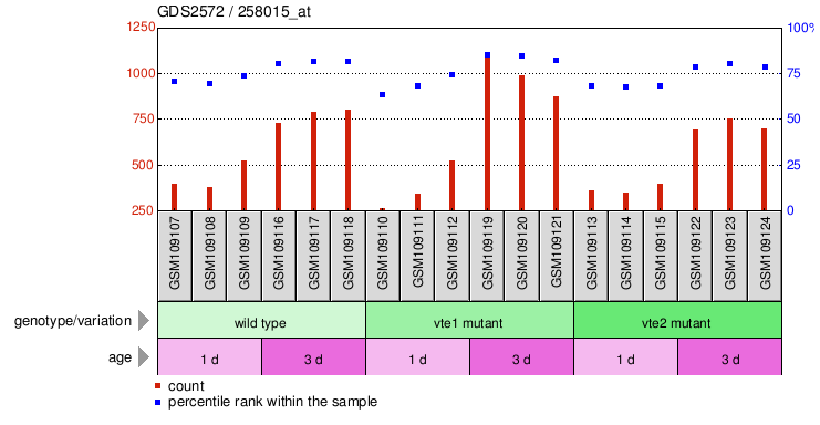 Gene Expression Profile