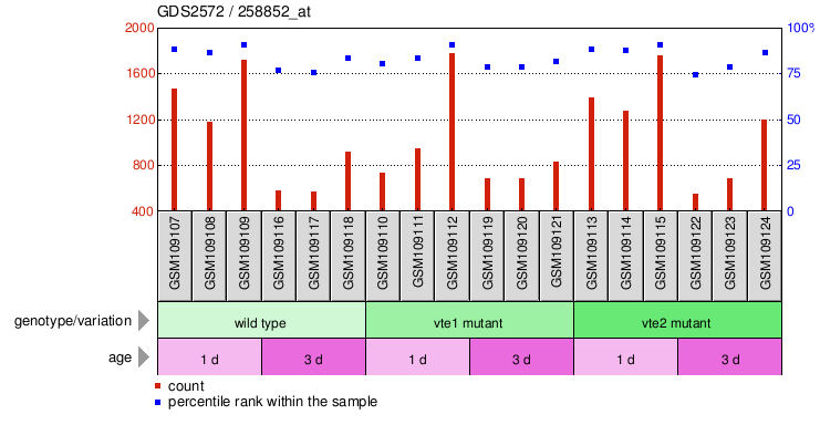 Gene Expression Profile