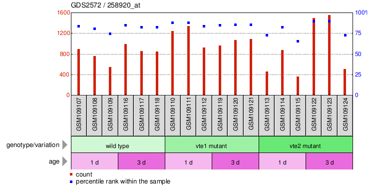 Gene Expression Profile