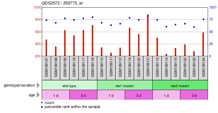 Gene Expression Profile