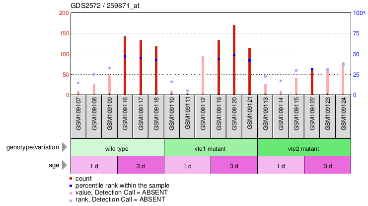 Gene Expression Profile