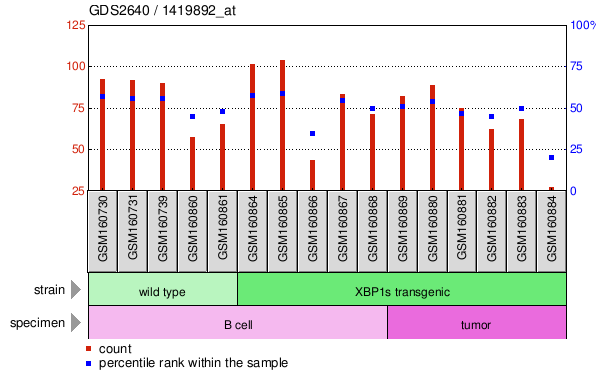 Gene Expression Profile