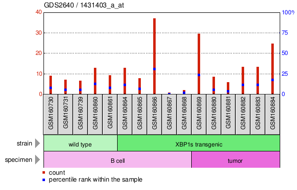 Gene Expression Profile