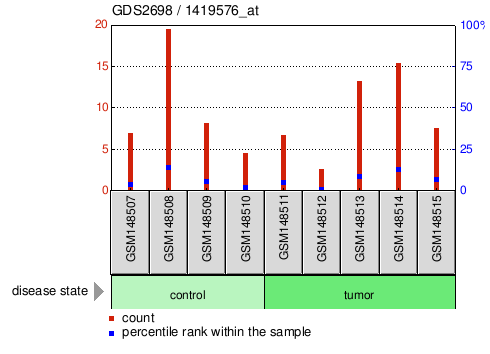 Gene Expression Profile