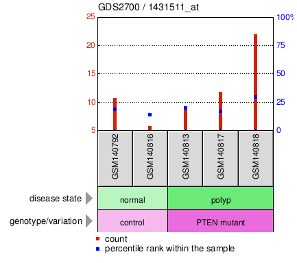 Gene Expression Profile