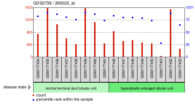 Gene Expression Profile