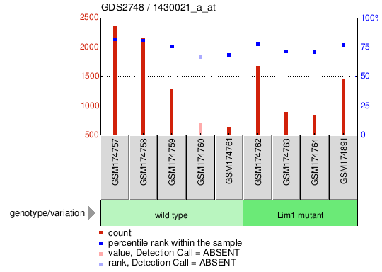 Gene Expression Profile