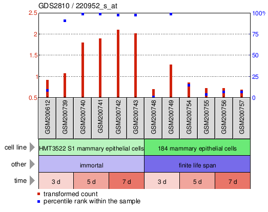 Gene Expression Profile