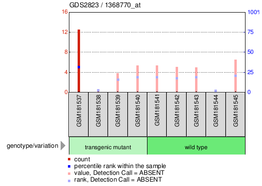 Gene Expression Profile