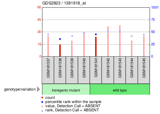 Gene Expression Profile