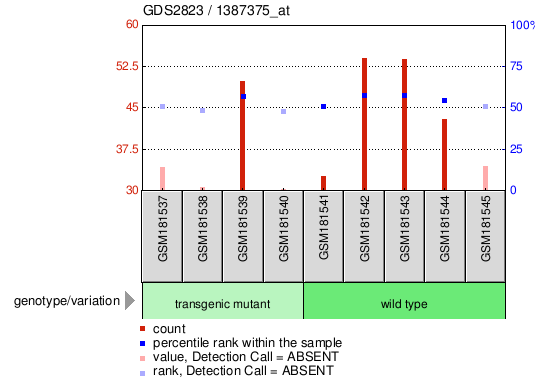 Gene Expression Profile