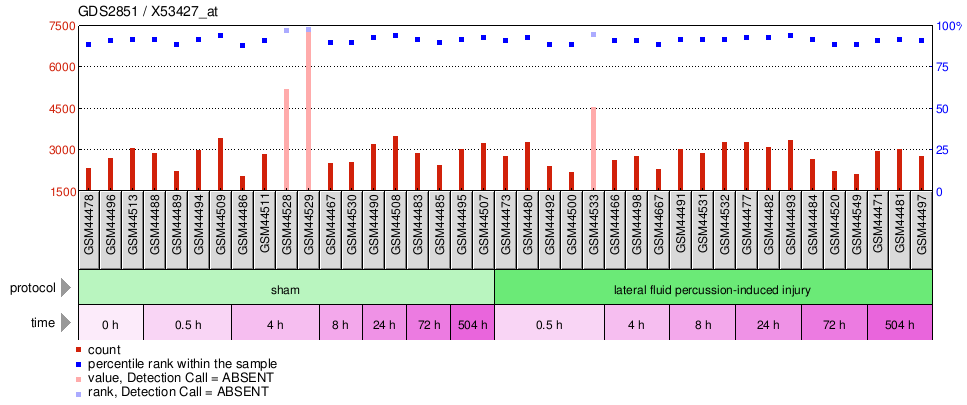 Gene Expression Profile