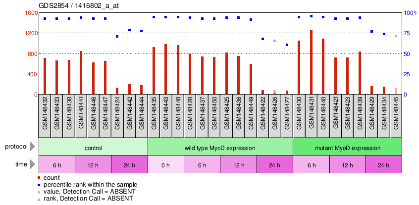 Gene Expression Profile