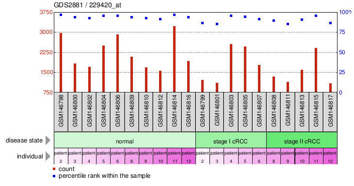 Gene Expression Profile