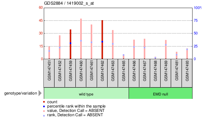 Gene Expression Profile