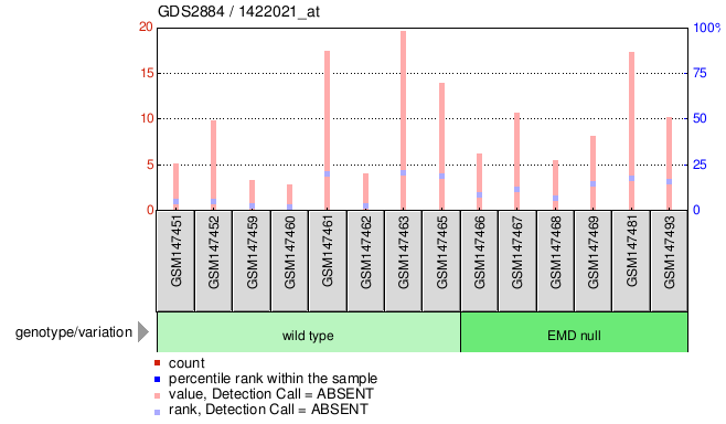 Gene Expression Profile