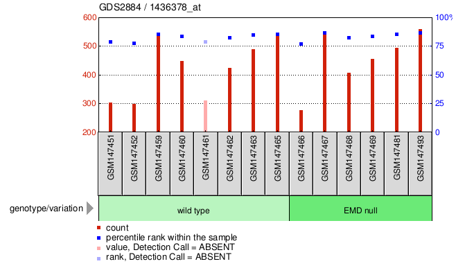 Gene Expression Profile