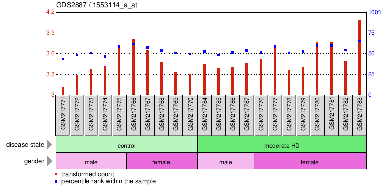 Gene Expression Profile