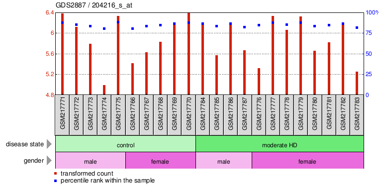 Gene Expression Profile