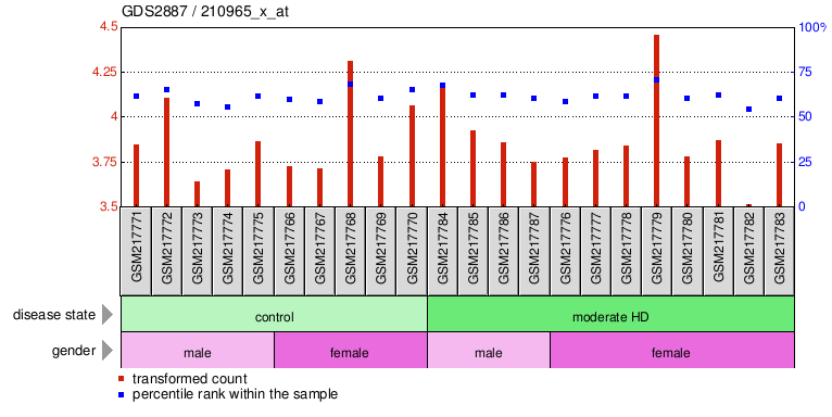 Gene Expression Profile