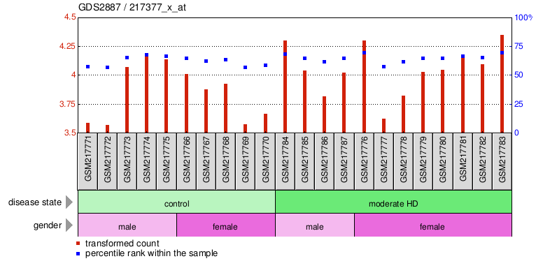 Gene Expression Profile