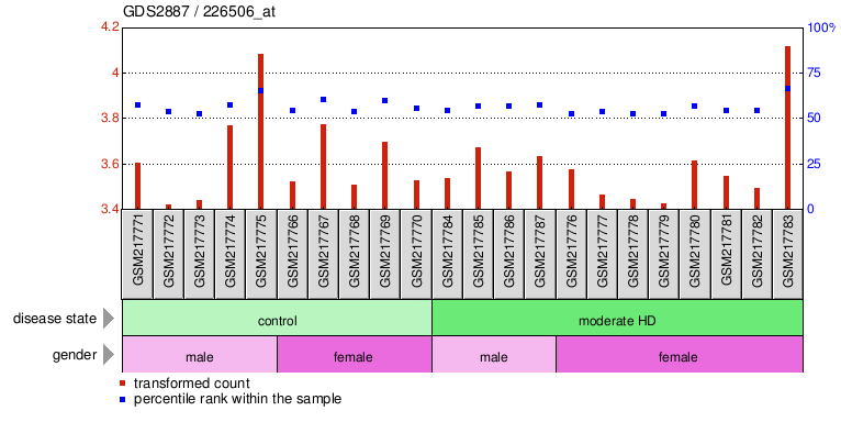 Gene Expression Profile