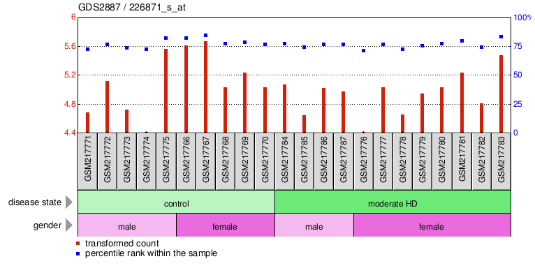 Gene Expression Profile