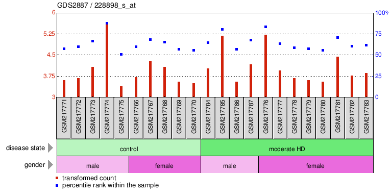 Gene Expression Profile