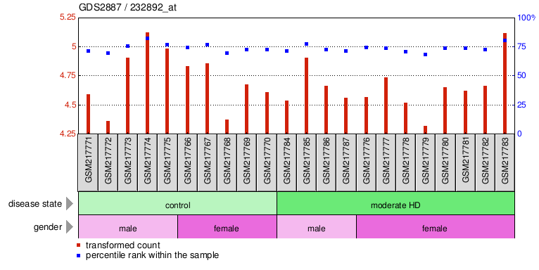 Gene Expression Profile