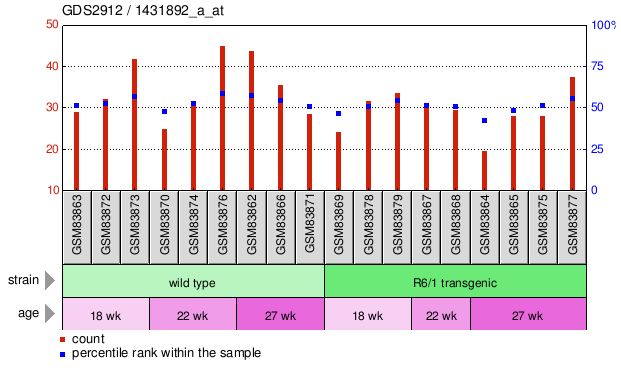 Gene Expression Profile